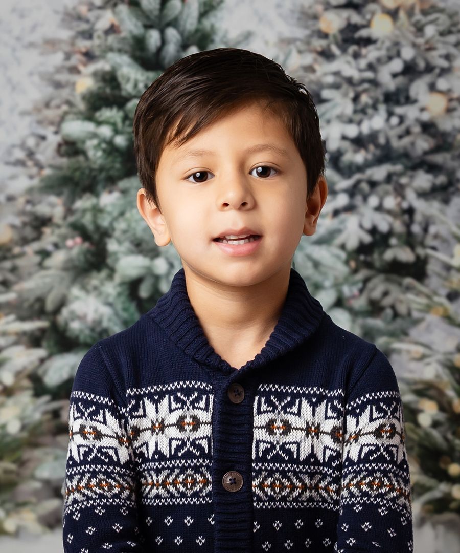 Holiday portrait